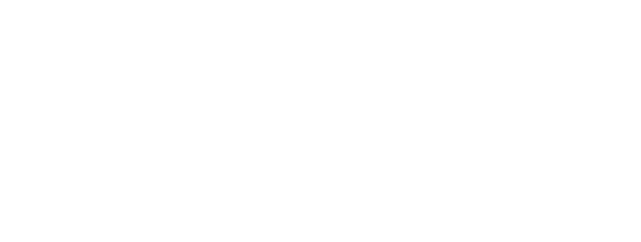 CWSE Ltd